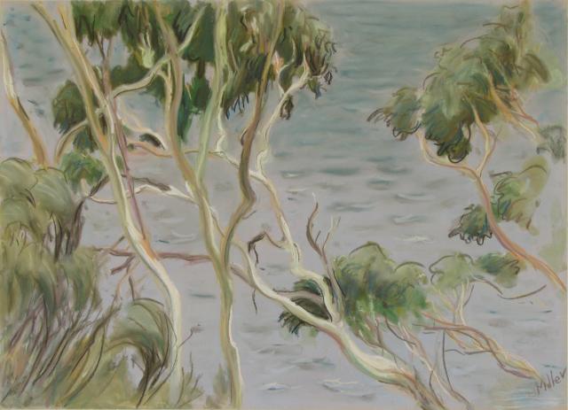 Trees above the Alum Cliffs, Kingston Beach