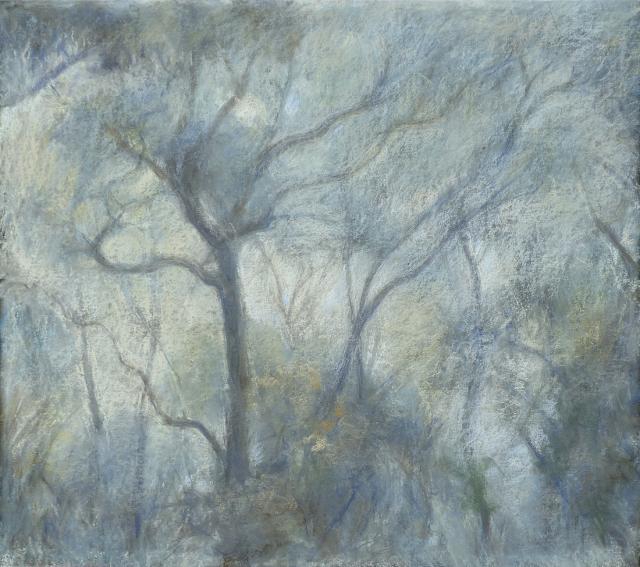 Channel Mists 4