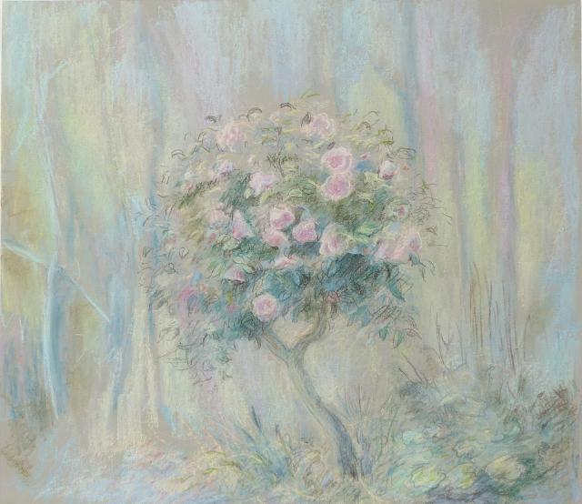 Camellia (Impermanence)