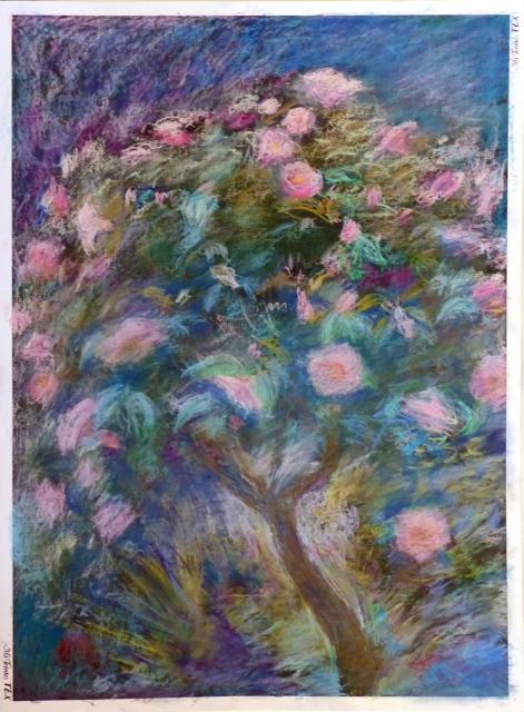 Camellia
